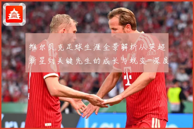 维尔贝克足球生涯全景解析从英超新星到关键先生的成长与蜕变-深度解析