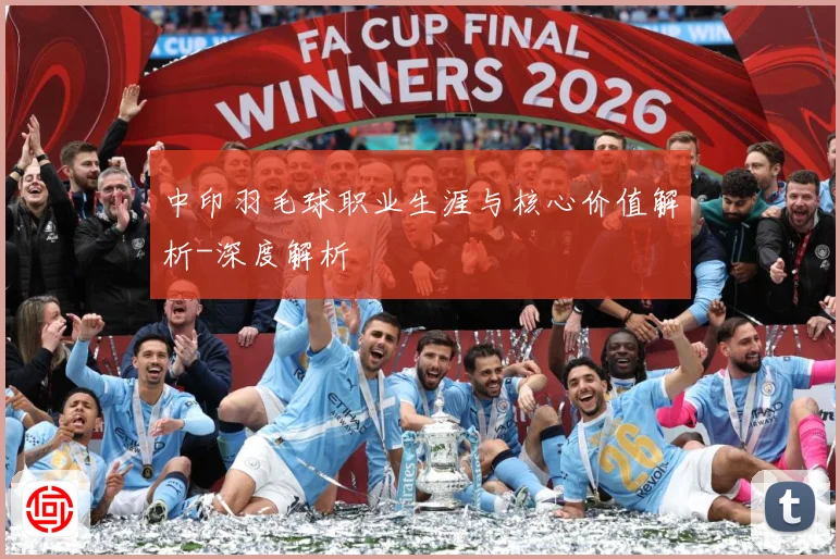 中印羽毛球职业生涯与核心价值解析-深度解析