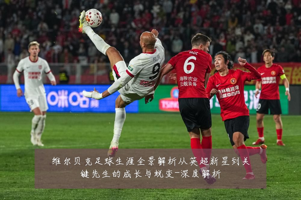 维尔贝克足球生涯全景解析从英超新星到关键先生的成长与蜕变-深度解析