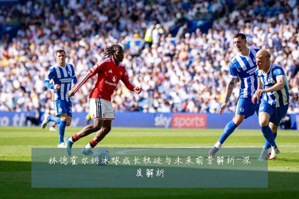林德霍尔姆冰球成长轨迹与未来前景解析-深度解析