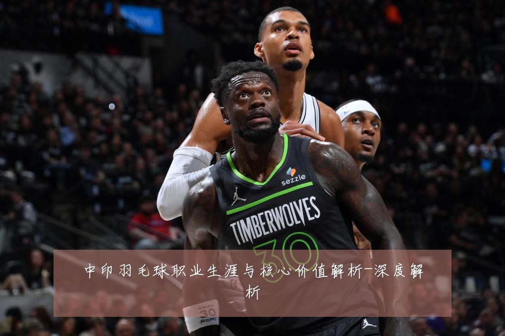 中印羽毛球职业生涯与核心价值解析-深度解析
